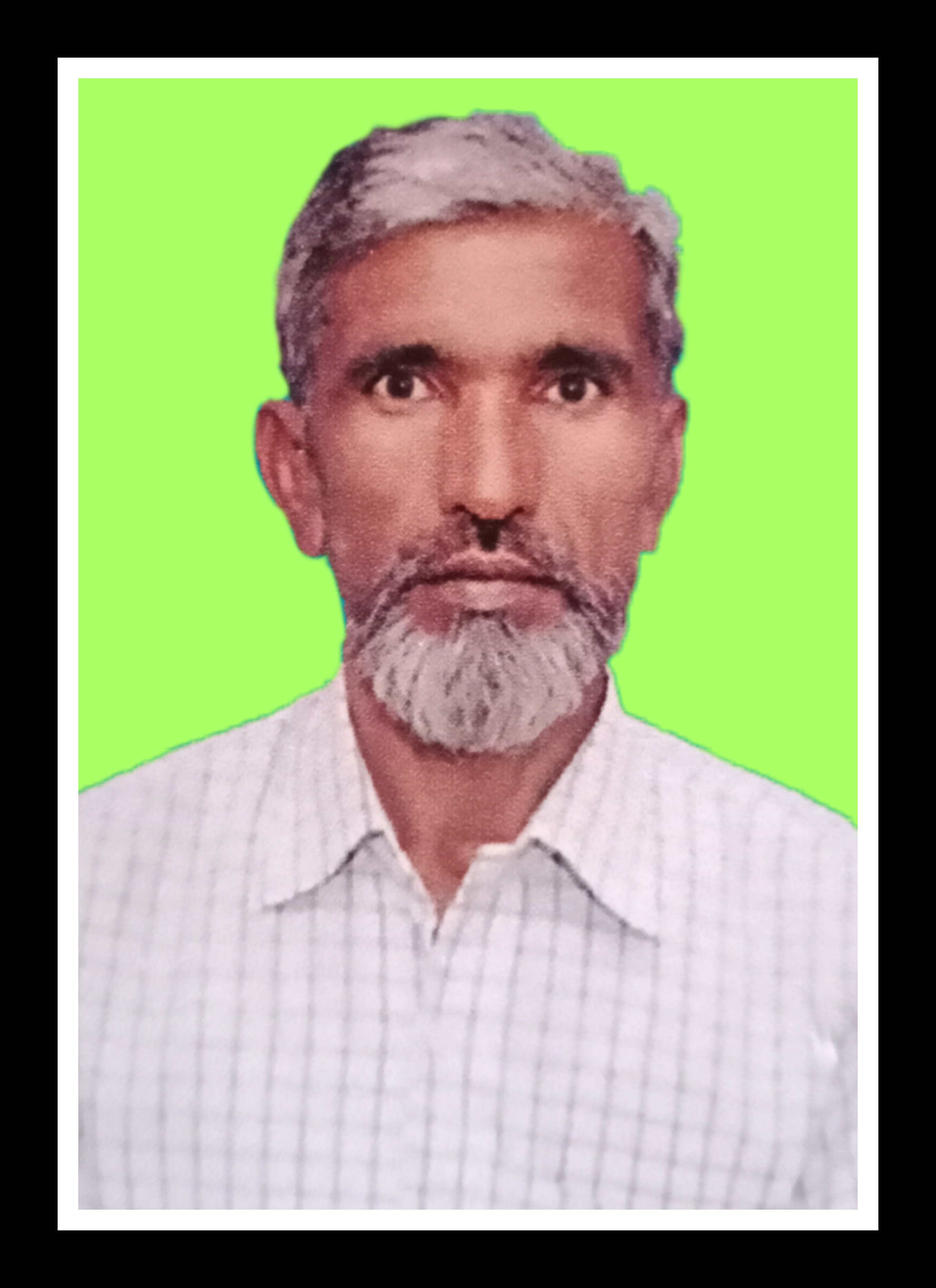 Committee Member